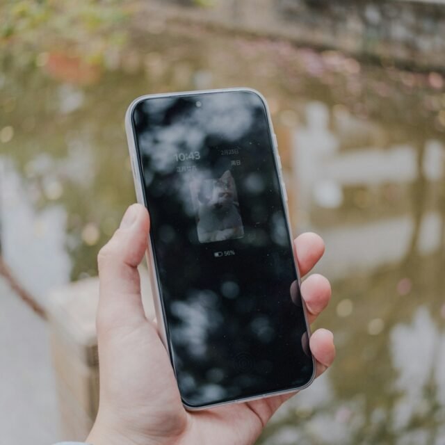 Phones & Tablets